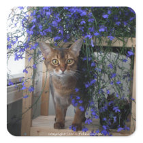 Flower Cat Square Sticker