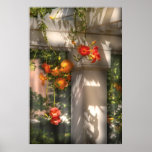 Flower - Chinese Trumpet Creeper (campsis Grandifl Poster