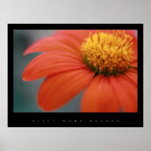 FLOWER CLOSE UP PRINT