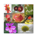 Flower Collage Magnet