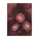 Flower Congratulations Postcard