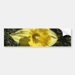 Flower Daffodil Bumper Stickers