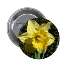 Flower Daffodil Pin