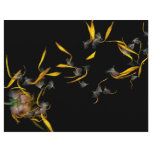 Flower - Daisy - Gone with the wind flyers