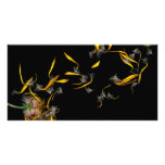 Flower - Daisy - Gone with the wind photo cards