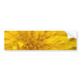 Flower - Dandelion Bumper Sticker