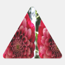 FLOWER Decorations : Red n Rose Couple Sticker