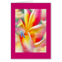 Flower dream cards