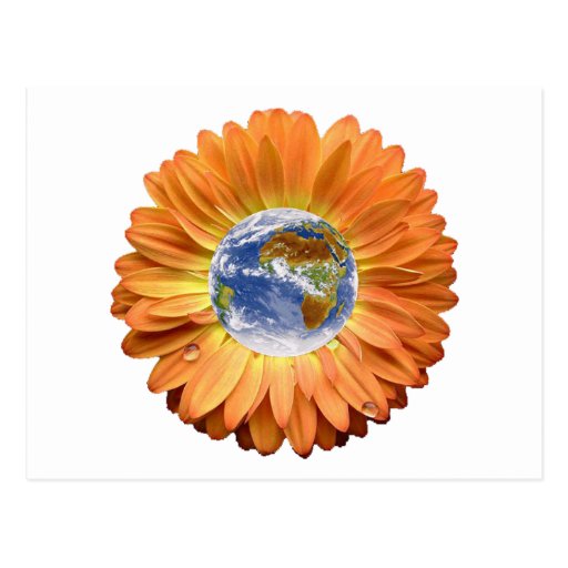 Flower Earth design! Postcards