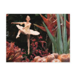 Flower Fairy Dancer Postcards