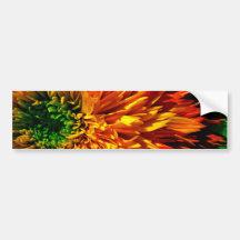Flower Fireworks Bumper Sticker