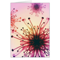 Flower Fireworks Card