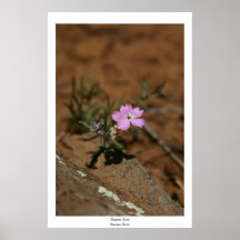 Flower Five Print
