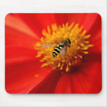 Flower Fly Use Mats