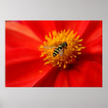 Flower Fly posters