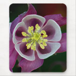 Flower Garden Mousepad