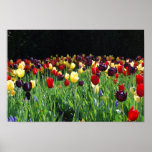 Flower Garden posters
