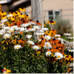 Flower Garden Sculpture