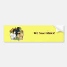 Flower Garden Silkies Bumper Sticker