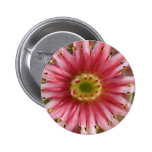 flower,hen and chicks bloom pinback buttons