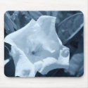 Flower in Blue mousepads