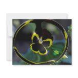 flower in raindrop invitations