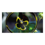 flower in raindrop photo cards