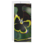 flower in raindrop rack cards