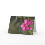 Flower in the Morning Greeting Card