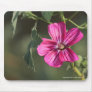 Flower in the Morning Mousepad
