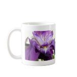 flower, iris purple mugs