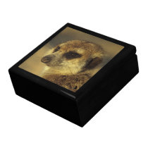 Flower Jewellery Box gift boxes