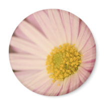 Flower magnet