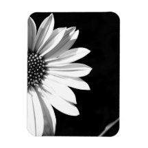 flower magnet