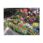 Flower Market At Nice In France Post Card