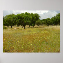 Flower meadow with oak trees - print
