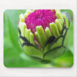 flower mousepads