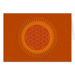 Flower Of Live / sun design cards