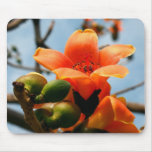 Flower of the Red Silk Cotton Tree mousepads