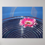 Flower on Water posters
