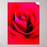 Flower Painting Poster
