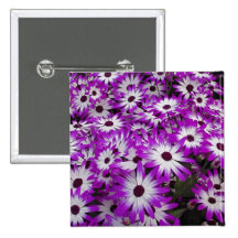 Flower pattern, Kuekenhof Gardens, Lisse, Pinback Buttons