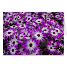 Flower pattern, Kuekenhof Gardens, Lisse, Greeting Card