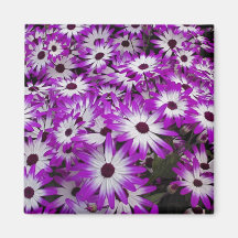 Flower pattern, Kuekenhof Gardens, Lisse, Refrigerator Magnets