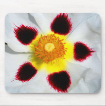 FLOWER PATTERN mousepads