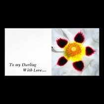 FLOWER PATTERN, To my Darling            With L... photo cards