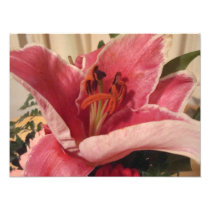 Flower Photo Print