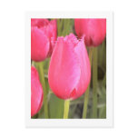 Flower Photography - "Pink Flower 10" postcards