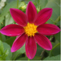 flower photo sculptures