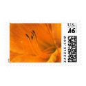 Flower Postage Stamp